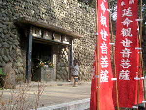 P1030498.jpg
