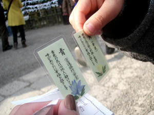 P1030500.jpg
