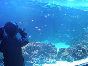 P1090540.jpg