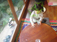 P1160045.jpg