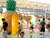 P1090070.jpg