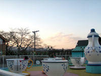 P1090084.jpg