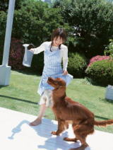 犬のしつけ・飼い方
