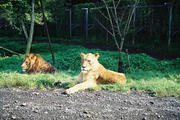 FH0200340022.jpg