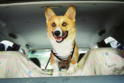 FH0000360003.jpg