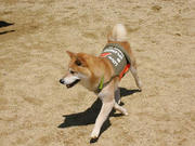 kyo0070002.jpg