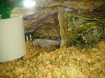 DSC00339.JPG