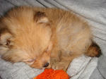 DSC00348.JPG