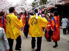 新庄がいせん桜　さくらまつり　うらじゃ踊り