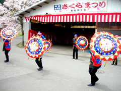 美甘宿場桜