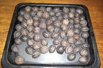 4890e160.jpg
