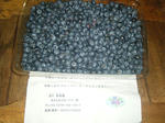 buru-beri-2.jpg