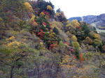 rinndou3.jpg
