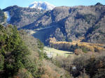 yamabudou5.jpg