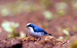07306b38.jpg