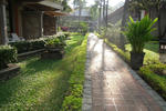 jyayakaruta1.jpg