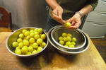 ume-kouso.jpg
