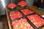 tomato-3.jpg