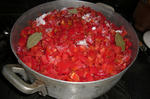 tomato-4.jpg
