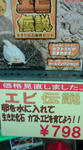 20070629124211.jpg