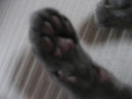 4160b4c8.JPG