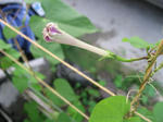 IMG_1700.JPG