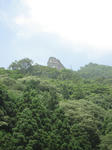 IMG_1794.JPG