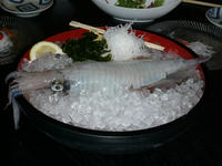 P1010100.JPG