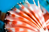 f94751a6jpeg