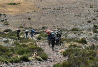 P1010673-1.JPG