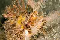 4f149cd5.jpg