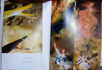 Mybook2jpg