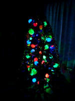 P1000099.JPG