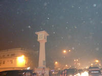 P1000179.JPG