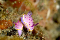 6c73349c.jpg