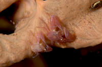 DSC_0215.jpg
