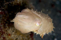 DSC_0267.jpg