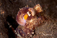 DSC_0177.jpg