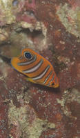 692e0198.jpg