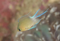 95864f3a.jpg