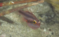 c4e232c4.jpg