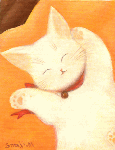 しろにゃん