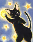 星猫