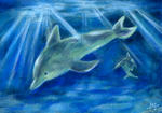 BlueDolphin