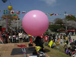 13618801_826131159s.jpg