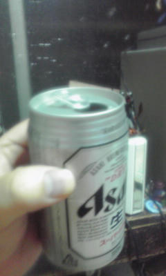 本当はキリン派です。