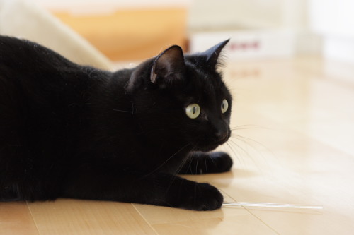何で笑うの?