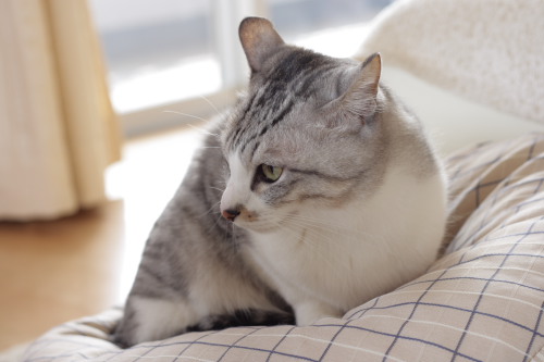 ずれ落ちちゃう