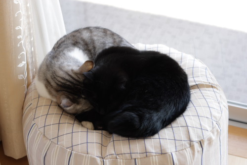 バランスが大事