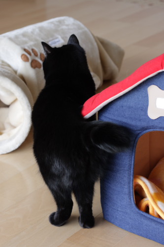 後で入るの